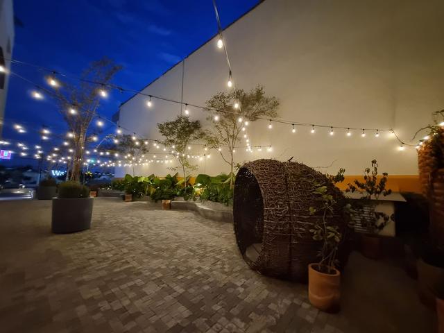 Foto de la galeria de imagenes